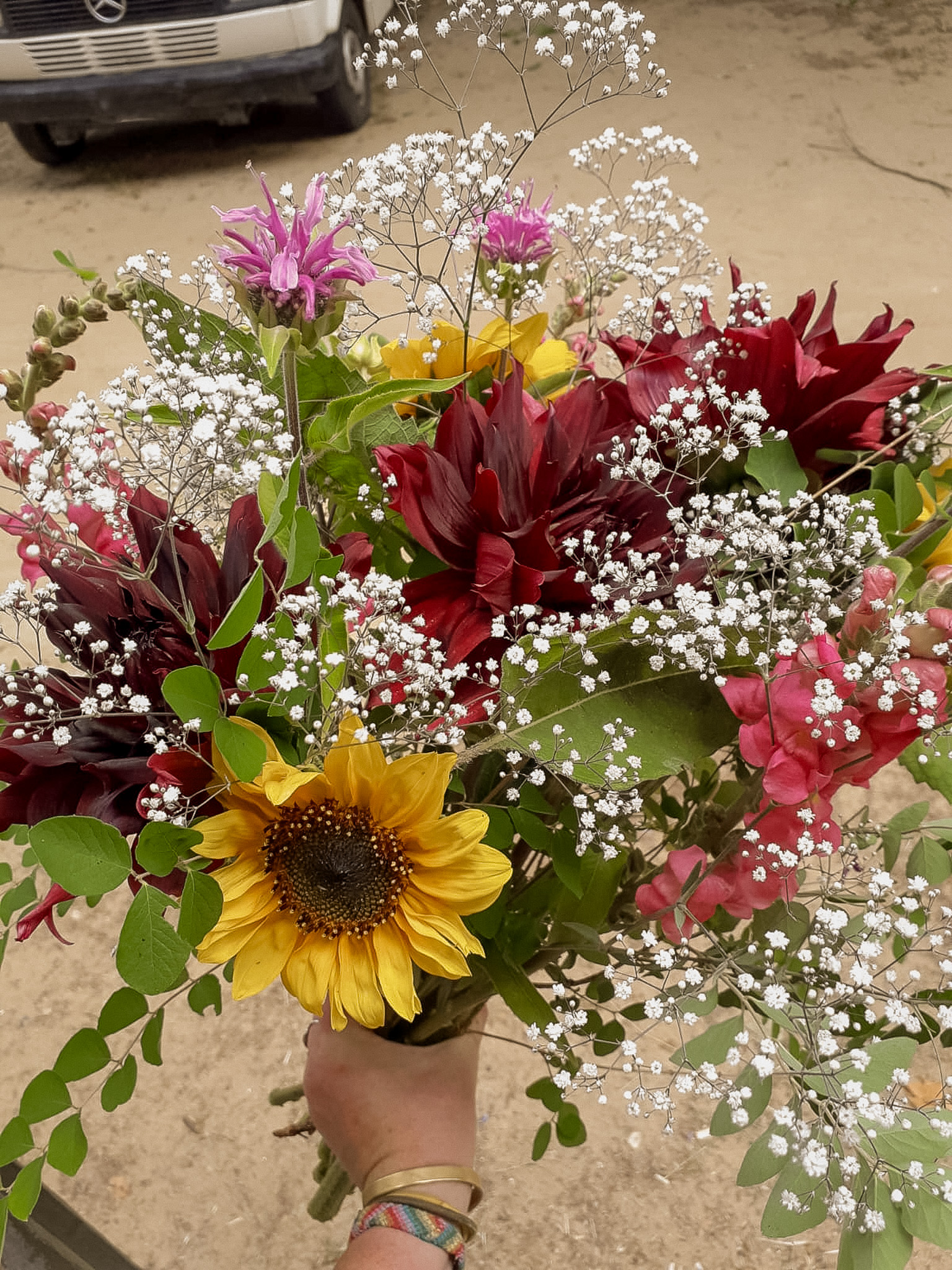 107d79d9-4aa6-4d97-ba3b-b125571805af