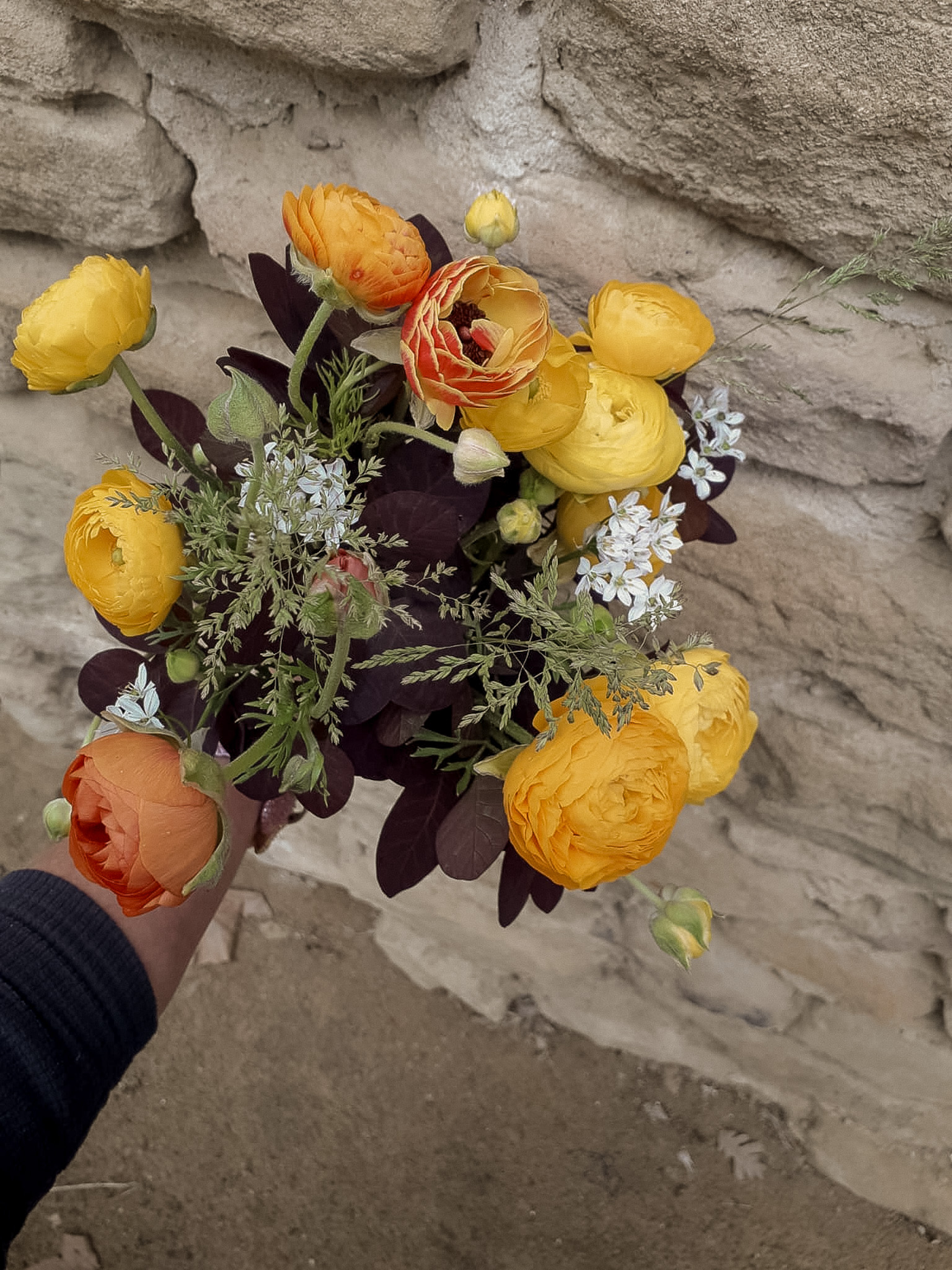 b71e0f74-b969-44dc-b8cd-23c819b4fe26