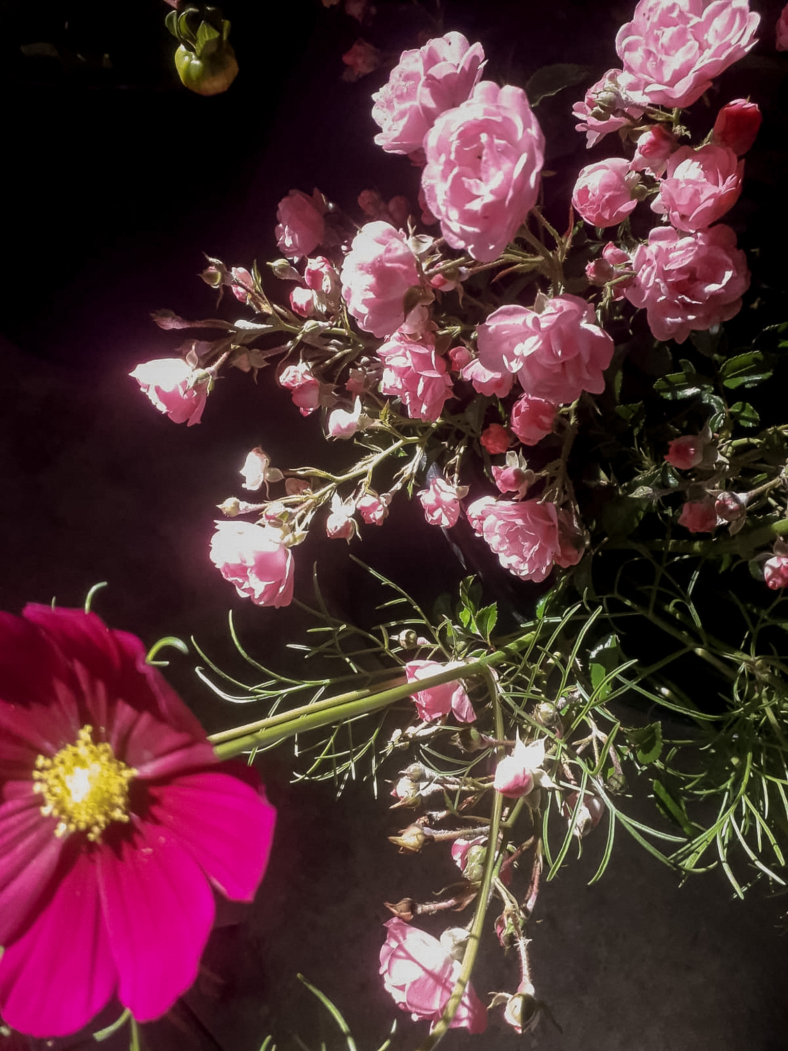 fe2be1f8-f728-4b6c-927a-36ac73e5f6b4